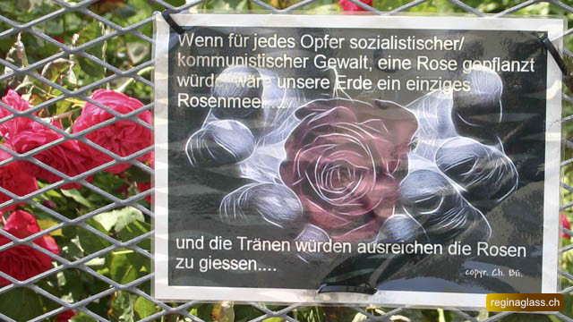 16 Kassberg - Rosen für die Opfer